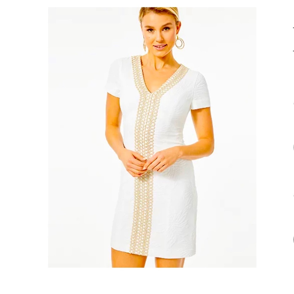 Lily Pulitzer stunning dress- fully lined